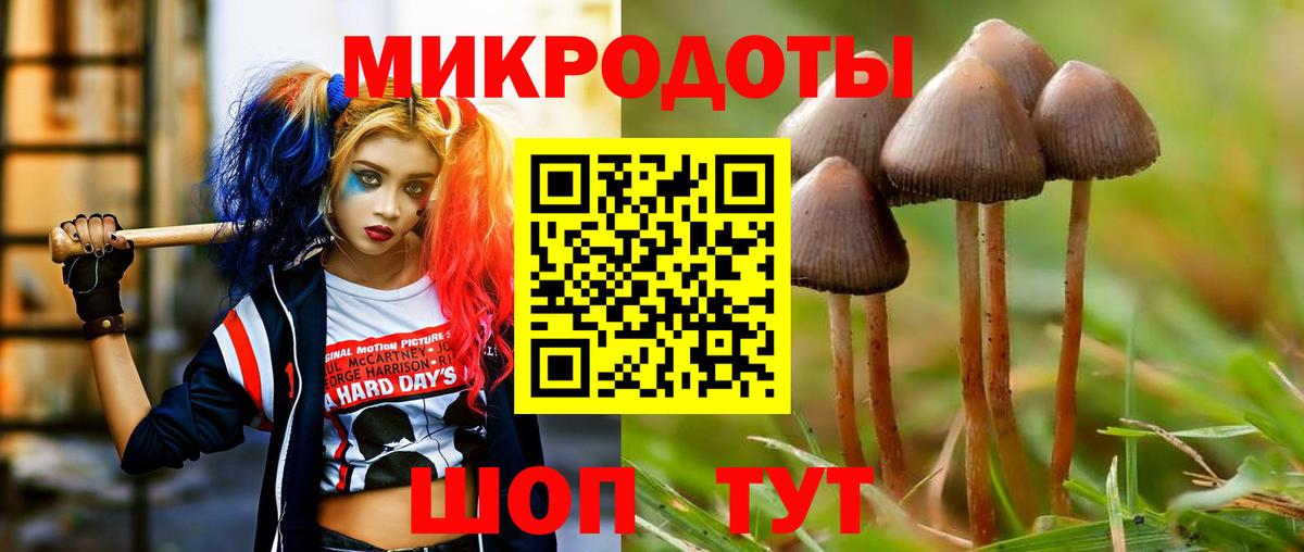 Галлюциногенные грибы мицелий  Вход с VPN  Псилоцибиновые грибы ЛСД  Ржев 