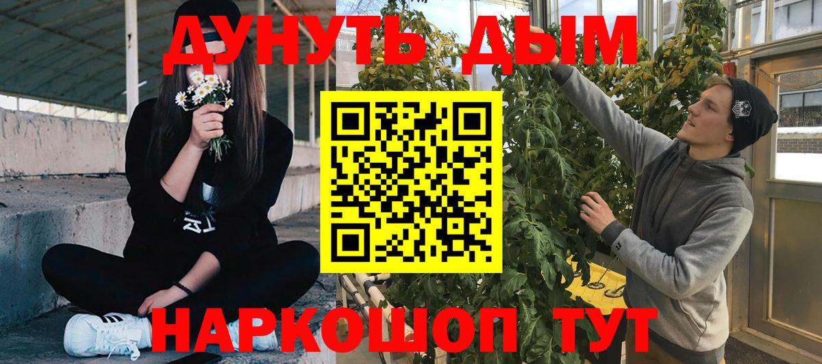 Бошки Шишки планчик Ржев